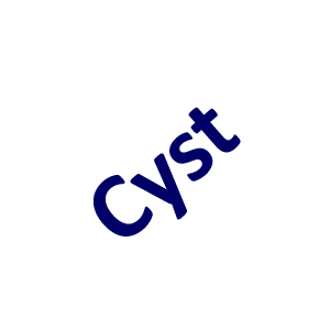 Cyst